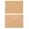 111 ​Kraft Envelopes and Blank Post Cards