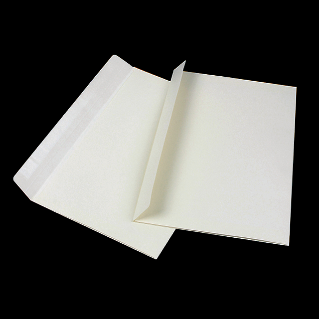 20300-096 Expandable Envelops