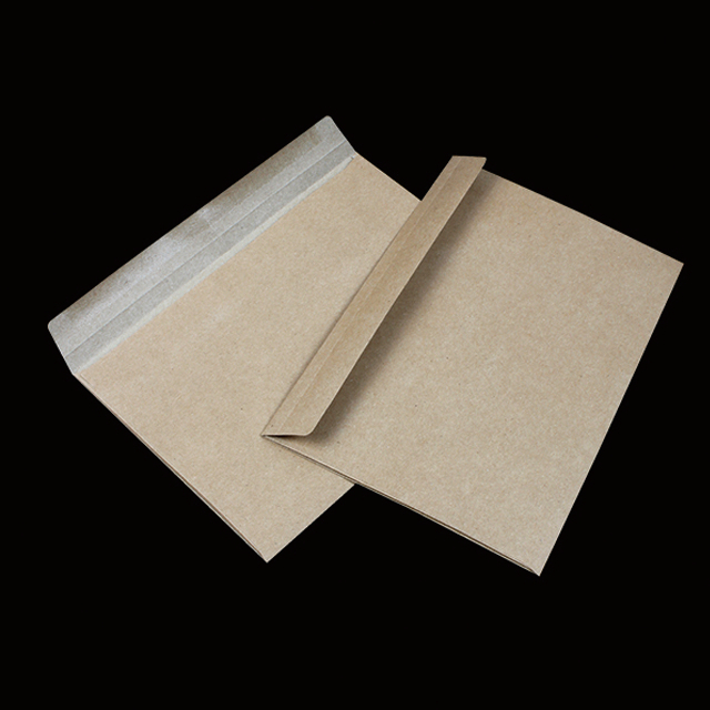 20300-111 Expandable Envelops