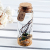 29531 25ML 4Pcs Mini Glass Bottle