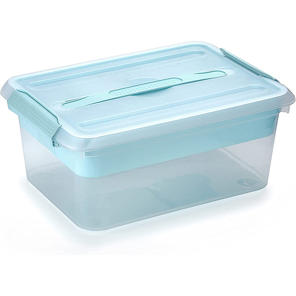 29650 Storage Box with Tray