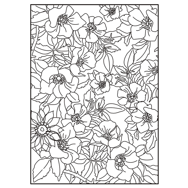 28914 Coloring Card & Envelopes