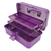 21803-Glitter Storage Box