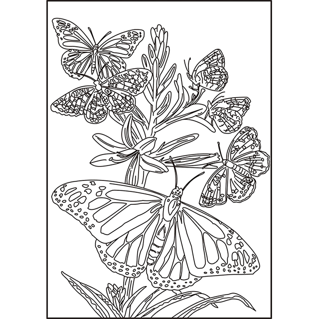 28914 Coloring Card & Envelopes