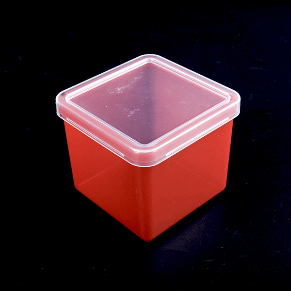 29598 Plastic Box